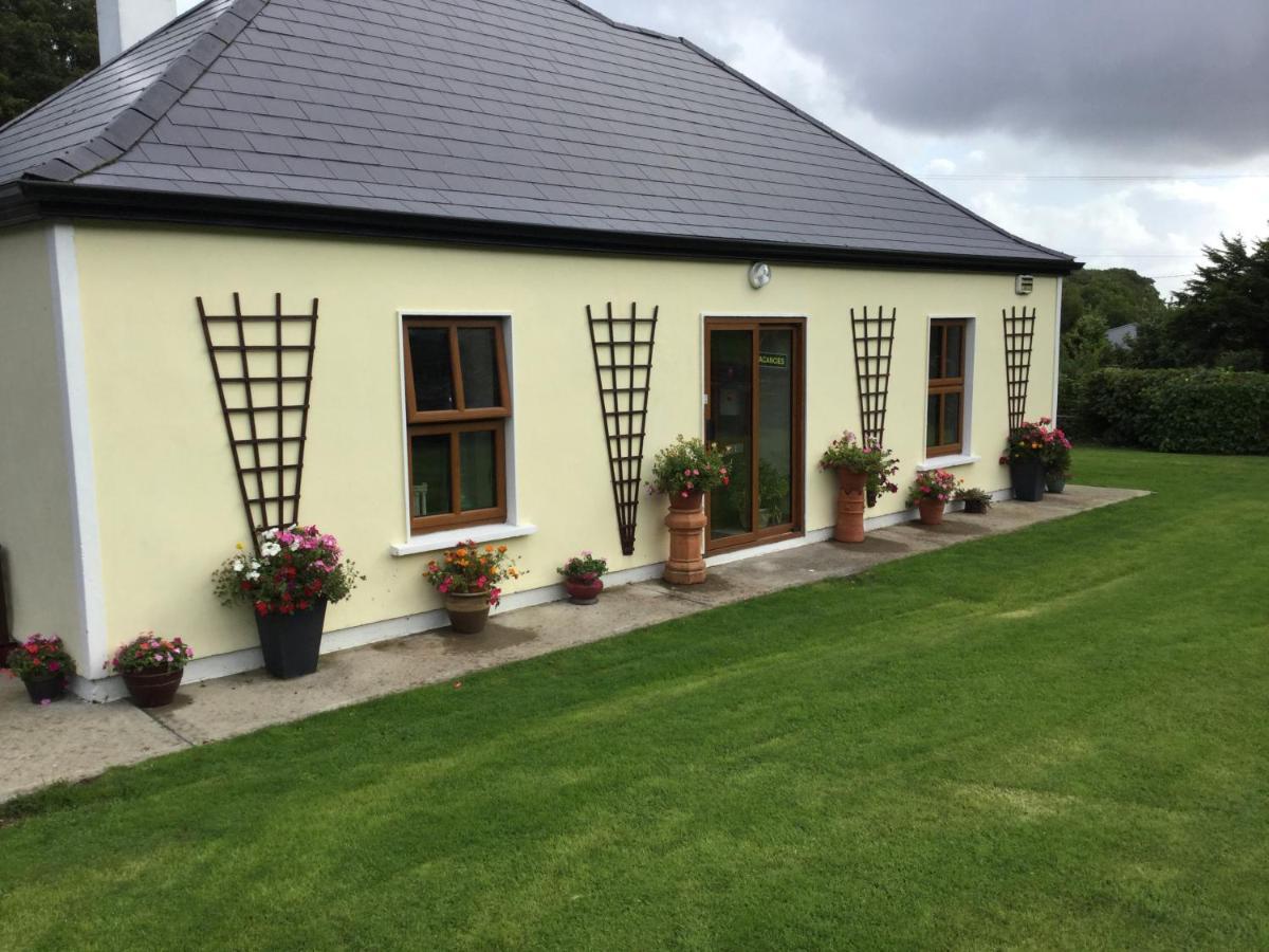 Rose Cottage Westport Ngoại thất bức ảnh